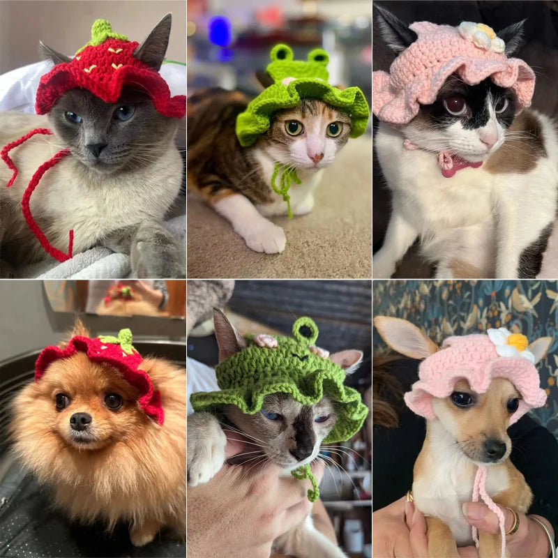 Pet Fun Costume Hats